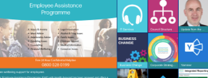 Microsoft 365